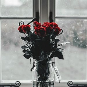 Meet your Posher, Madeline